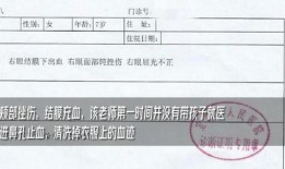 陕西学生爆料事件最新,揭开校园安全与教育监管的隐忧