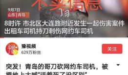 青岛企业爆料事件视频最新,揭露真相与争议漩涡