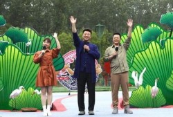 临沂爆料真相最新消息视频,最新视频揭露惊人内幕