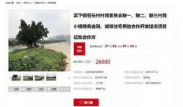 石头镇最新爆料消息,揭秘神秘事件背后的惊人真相